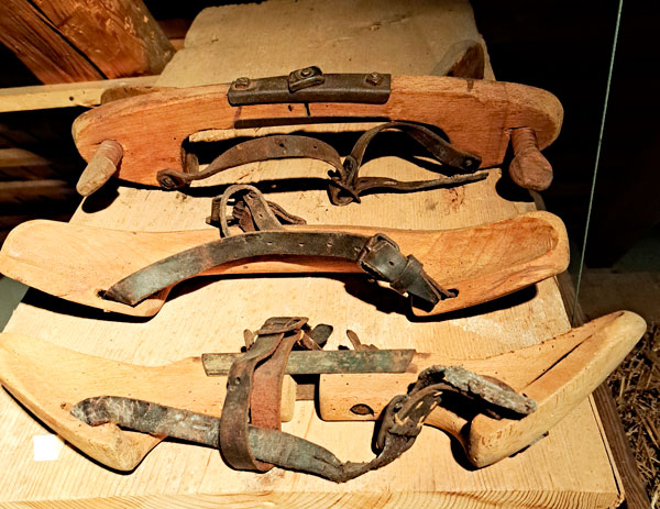 Hornzwingen auf Holztisch