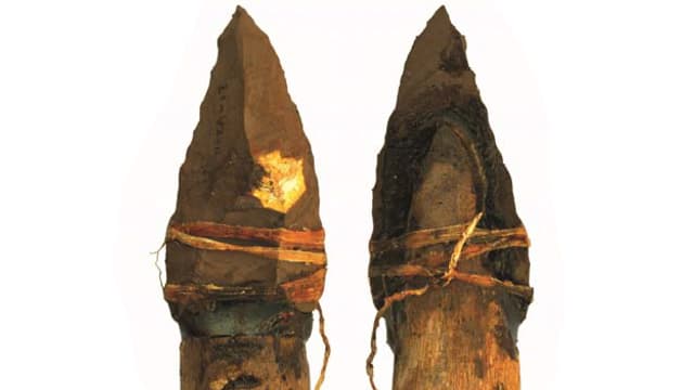Zu sehen sind zwei Speerspitzen auf weissem Hintergrund.